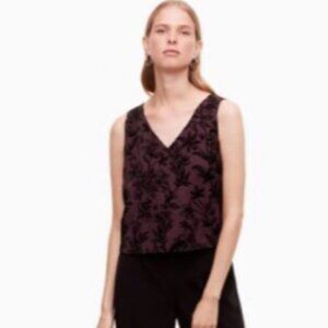 Aritzia Babaton Murphy V-Neck Shirt